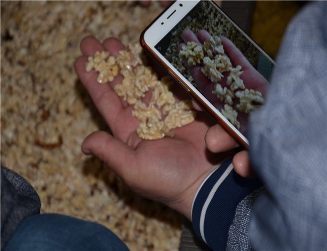 【河北】當(dāng)?shù)睾颂胰嗜テぴ囼? /></div>
		<h2 id=