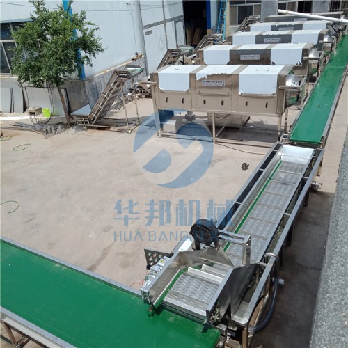 清潔方便核桃仁去衣機(jī) 華邦機(jī)械