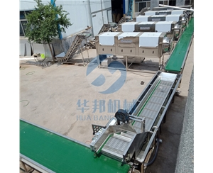 清潔方便核桃仁去衣機 華邦機械