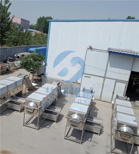 可調(diào)速核桃仁脫衣機 去皮核桃仁