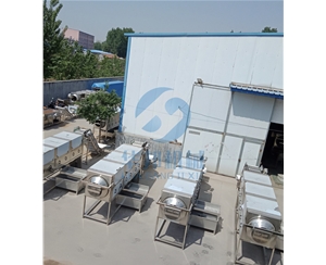 可調(diào)速核桃仁脫衣機 去皮核桃仁