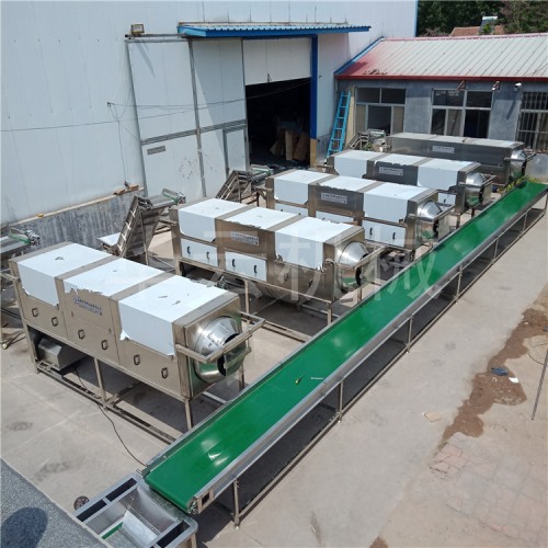 核桃仁去皮機去皮率98%