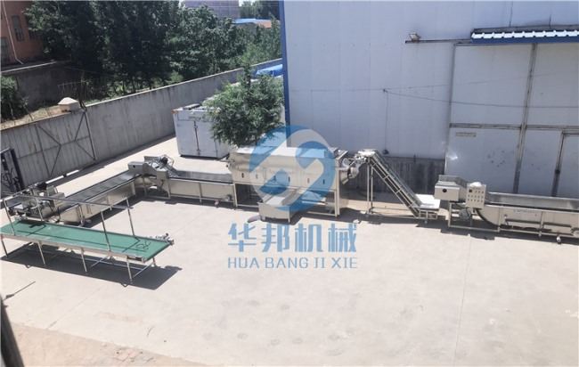 不同品種進(jìn)行去皮 華邦機(jī)械核桃仁去衣機(jī)