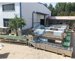 核桃仁去皮流水線 日產(chǎn)1-10噸 支持定制