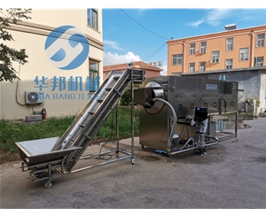 新疆核桃仁去皮機 核桃仁去皮機廠家 終生維護