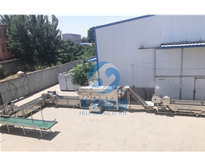 華邦機(jī)械核桃仁去衣機(jī) 不同品種進(jìn)行去皮