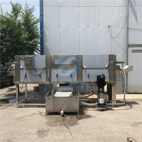 核桃仁脫衣設(shè)備 純物理核桃仁去皮機