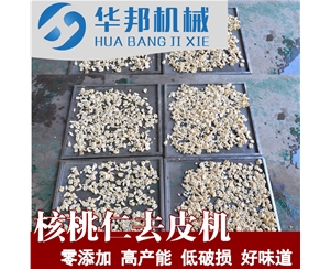 核桃仁脫皮機(jī) 自來(lái)水去皮 核桃仁去皮機(jī)供應(yīng)商