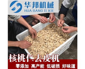 廠家直銷(xiāo)核桃仁去皮機(jī)  物理零堿脫皮機(jī)器