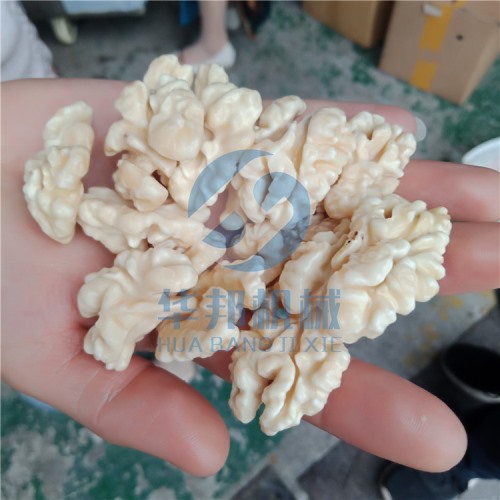 免費安裝 核桃仁去皮機