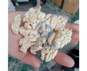 免費安裝 核桃仁去皮機