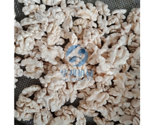 自動化生產(chǎn)核桃仁去皮機