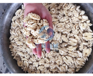 1臺省150人 核桃仁去皮機