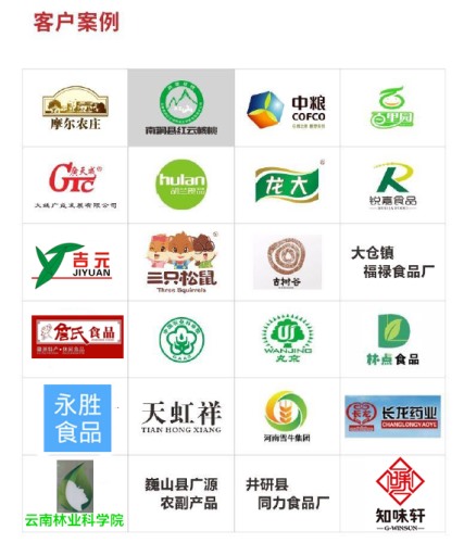 免費上門安裝 核桃仁去皮機(jī)