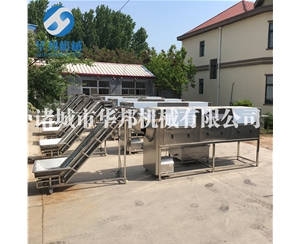 純物理核桃仁去皮機 全自動核桃仁去皮生產(chǎn)線