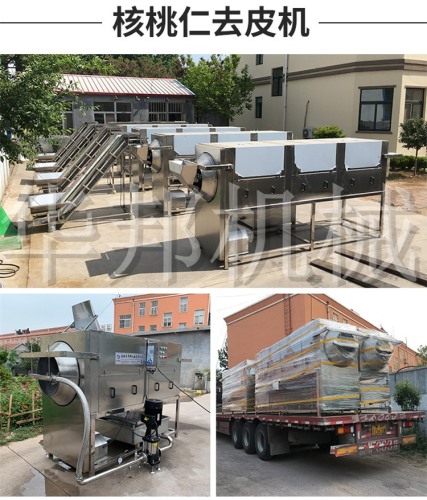 核桃仁去皮機(jī) 品種無(wú)限制