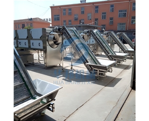 鮮核桃仁去皮機 兩年質(zhì)保