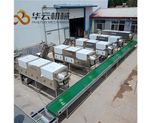 0化學(xué)核桃仁去皮機 2年質(zhì)保