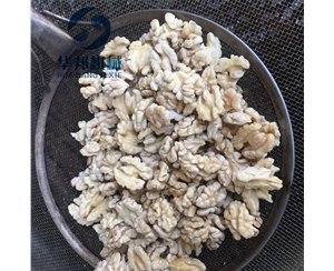 新式核桃仁去衣機