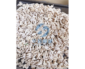 低損耗 核桃仁去皮機(jī)