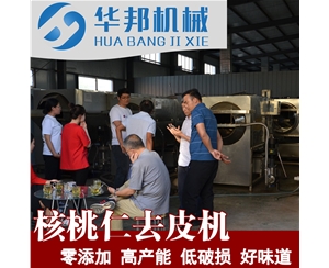 2019核桃仁去皮機(jī)