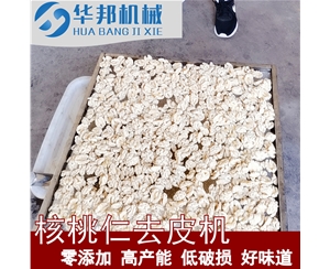 754凈水核桃仁去皮機(jī) 自來水去皮