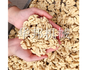 新款核桃仁脫皮機(jī) 華邦機(jī)械去衣核桃仁