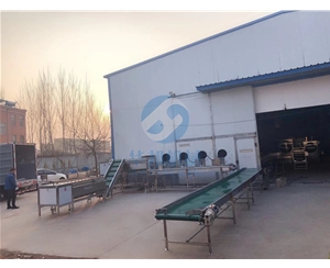 紅薯清洗機 紅薯清洗設備