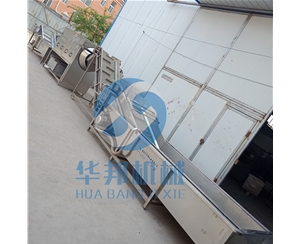 【華邦】核桃仁去皮機(jī) 去皮流水線