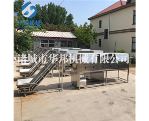 不限品種核桃仁去皮機省人工