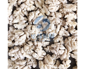 【全自動(dòng)核桃仁去皮機(jī)】