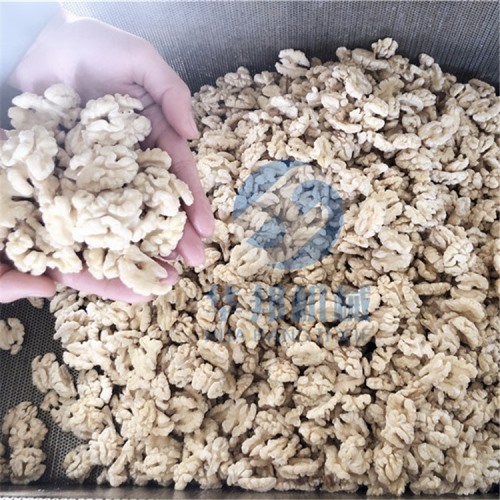 全自動(dòng)核桃加工流水線(xiàn)