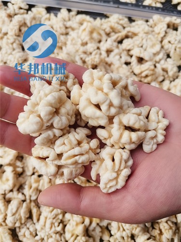 核桃仁去皮機(jī) 無添加清水去衣