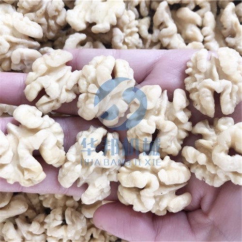 現(xiàn)貨 核桃仁去皮機