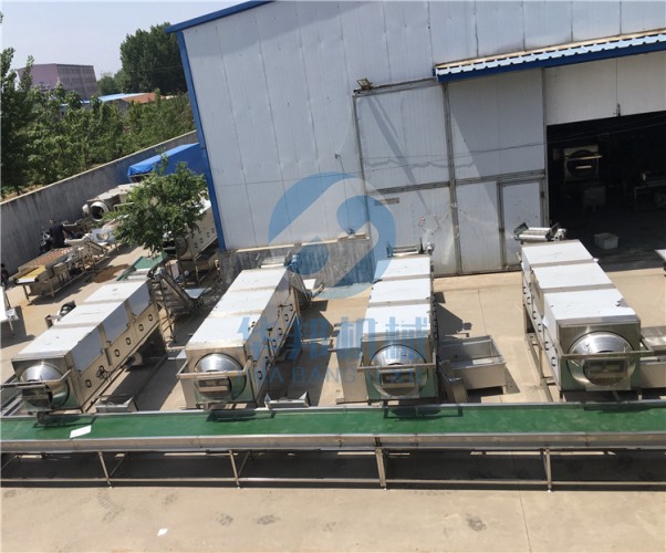 【物理工藝】核桃仁去皮機