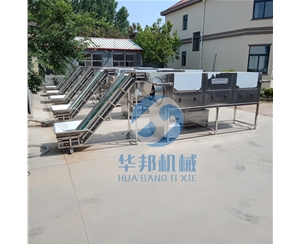 【核桃仁加工設(shè)備】核桃仁去皮機 核桃仁脫皮機