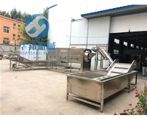 全自動【核桃仁去皮機】定做核桃仁去皮生產線