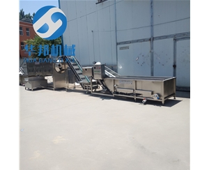 核桃仁去皮機(jī)流水線 華邦大型核桃仁去皮機(jī)