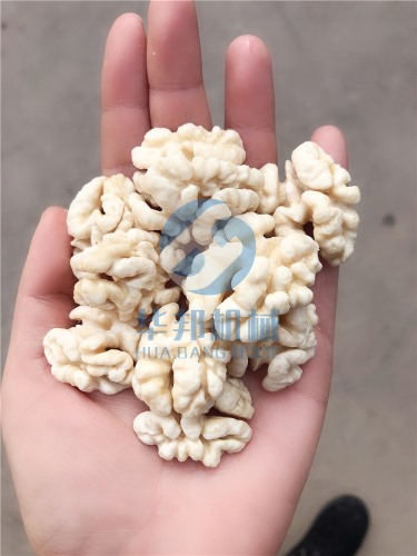 核桃仁去皮機(jī) 視頻