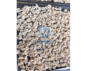 多型號 核桃仁去皮機(jī)