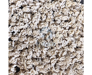 省186人 核桃仁脫皮機(jī)