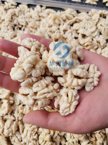 核桃仁去皮機(jī) 提供去皮工藝