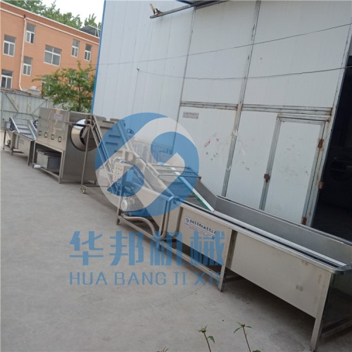 核桃仁脫衣生產(chǎn)線(xiàn) 核桃仁去皮機(jī)