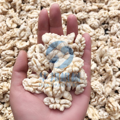 核桃仁去皮機(jī) 去皮率高達(dá)98%