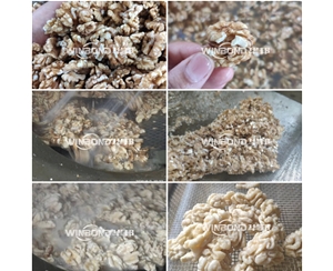 純物理核桃仁去皮機(jī)