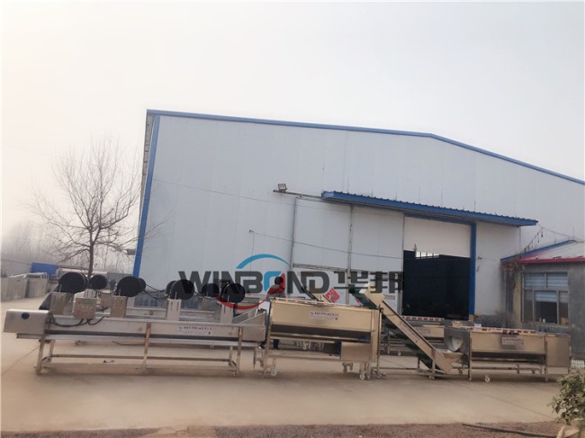 紅薯清洗機(jī) 華邦批量紅薯清洗設(shè)備 定制流水線