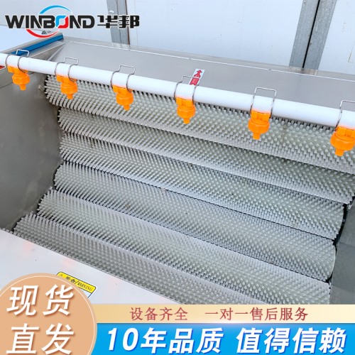 全自動洗薯機(jī) 番薯清洗風(fēng)干流水線 華邦定制