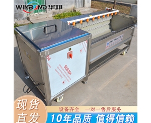 全自動(dòng)土豆去皮機(jī) 土豆毛輥去皮清洗機(jī) 型號齊全