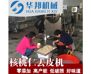 大型核桃仁去皮機 核桃仁去衣清洗機 優(yōu)惠供應