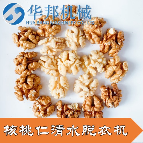 工廠現(xiàn)貨 華邦核桃仁去衣機(jī) 核桃仁加工成套設(shè)備